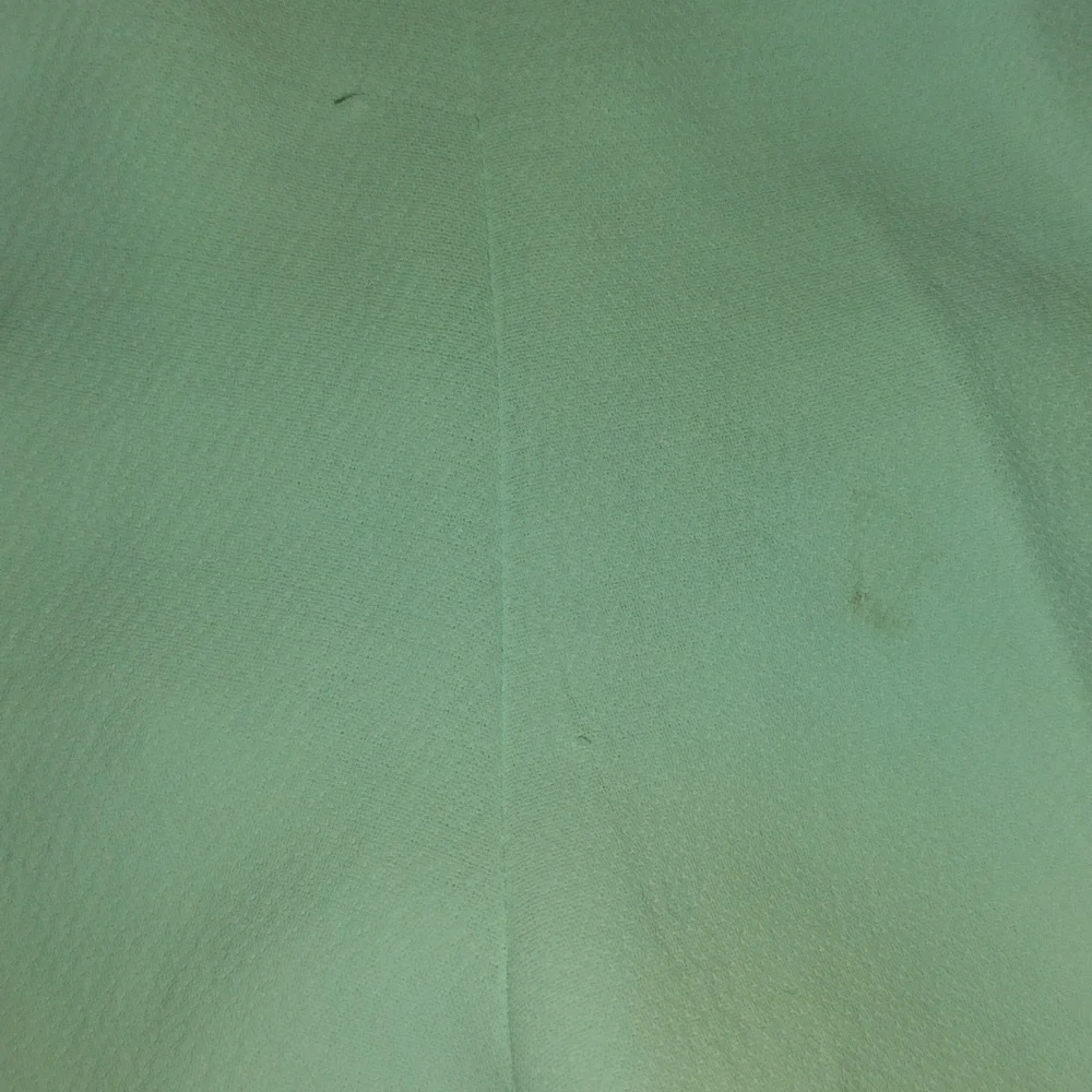 Wilfred Arizona Mint Green Ankle High Waisted Wide Leg Pleated Pant 8